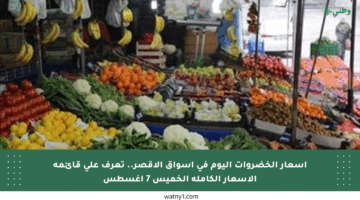 أسعار الخضروات اليوم في أسواق الأقصر.. تعرف على قائمة الأسعار الكاملة الخميس 7 أغسطس